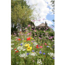 Blumenwiese "Alle Bodenarten" 30m²